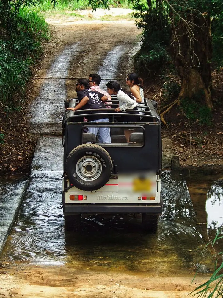 Jeep safari