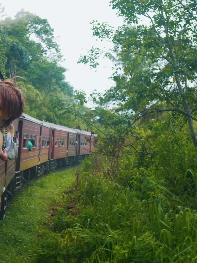 The famous train