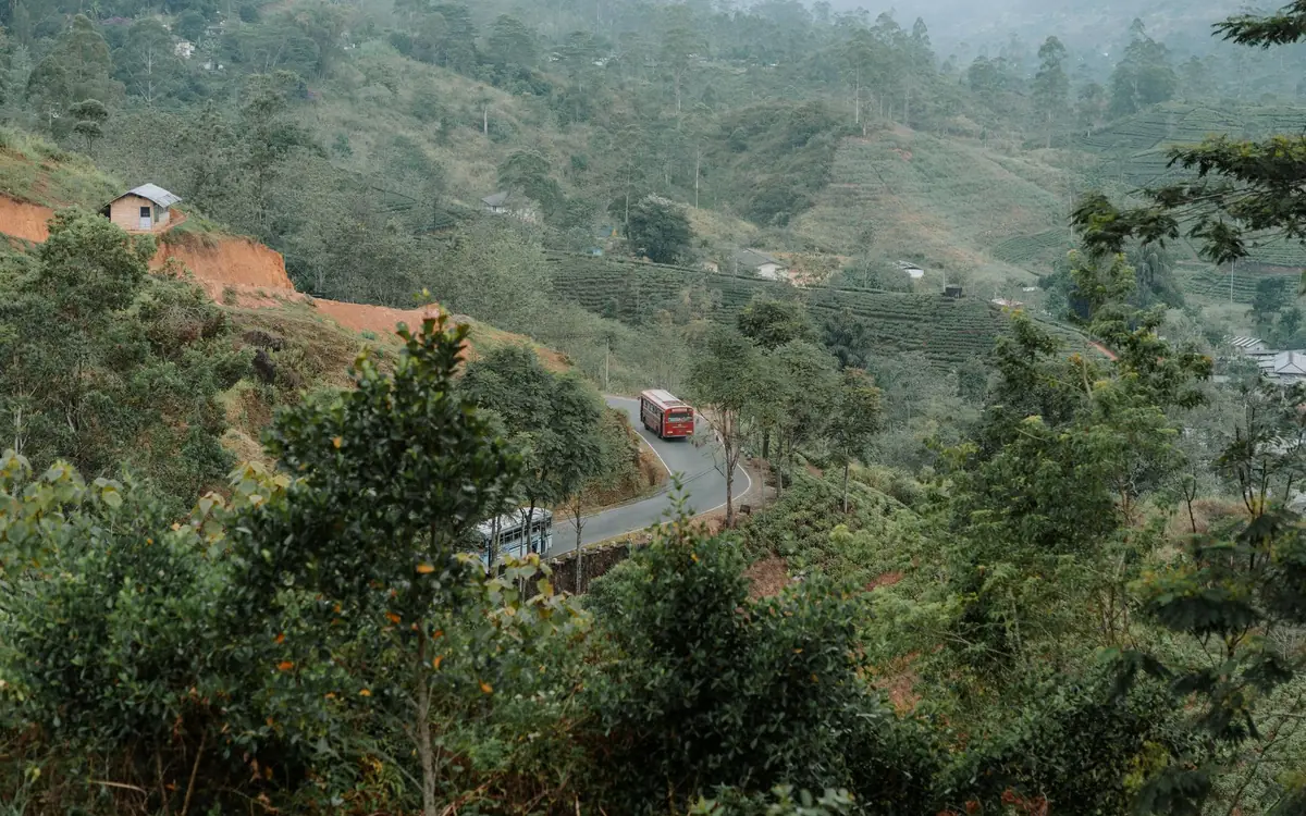 A winding road through green hills in Sri Lanka